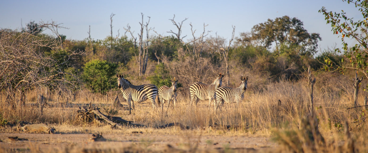 is a remote reserve in the east of Zambia 