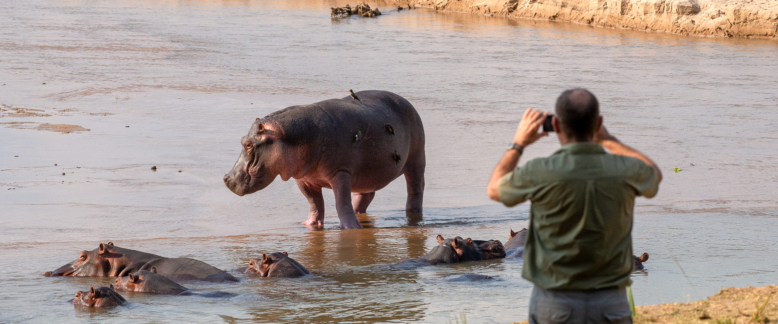 let us know your thoughts about Zambia and we will help you create the perfect safari