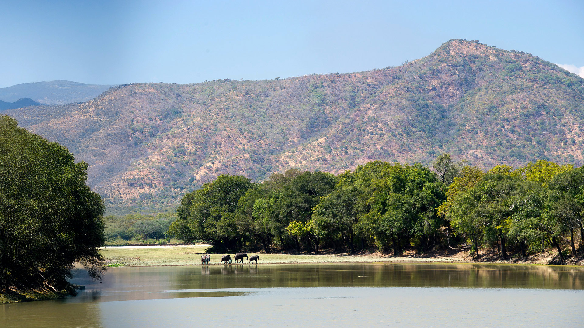 Safari to South Luangwa Central