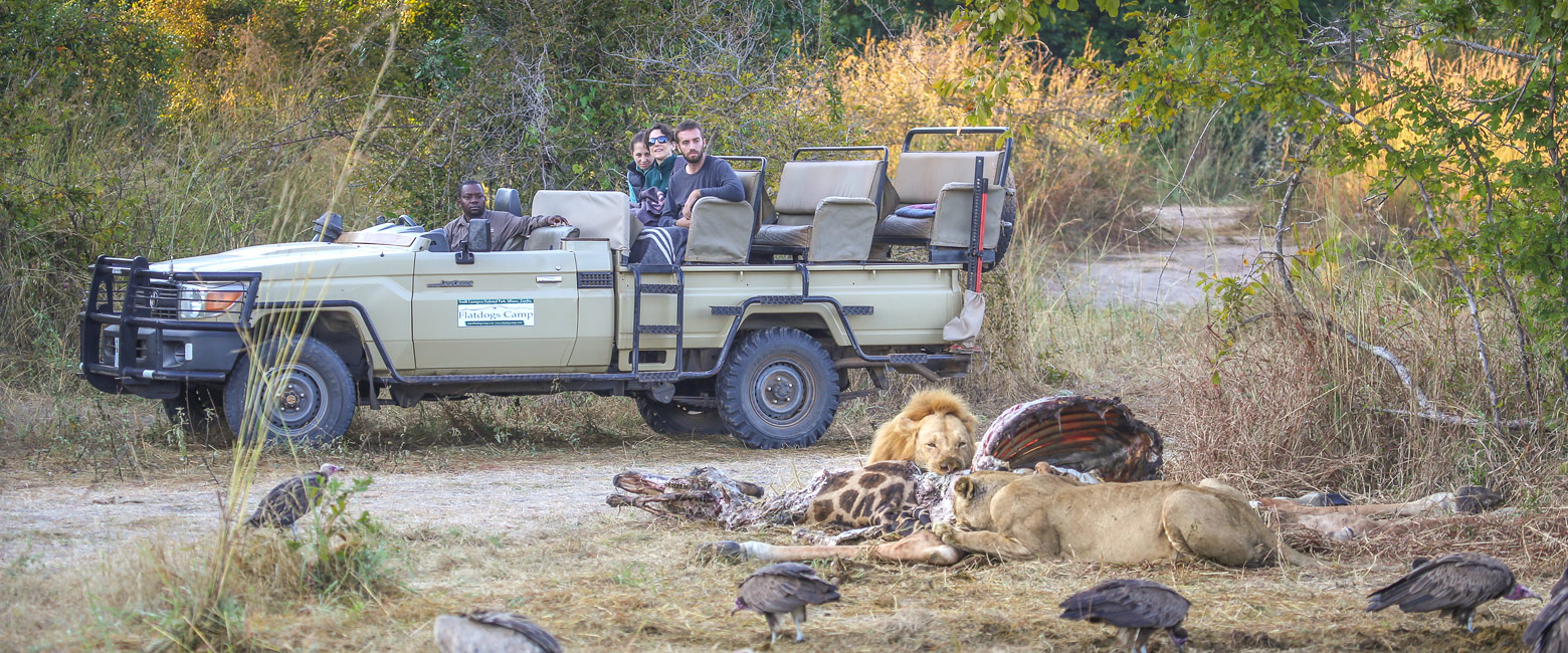 let us know your thoughts about Zambia and we will help you create the perfect safari 