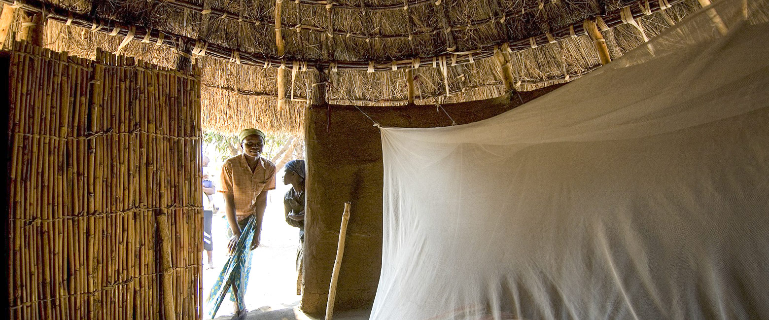 let us know your thoughts about Zambia and we will help you create the perfect safari