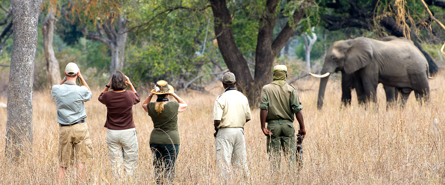 let us know your thoughts about Zambia and we will help you create the perfect safari