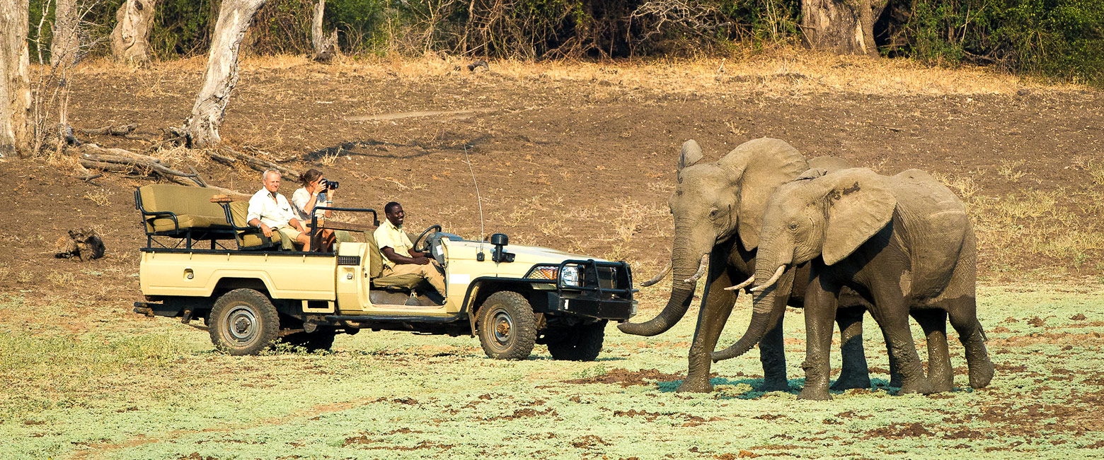 let us know your thoughts about Zambia and we will help you create the perfect safari