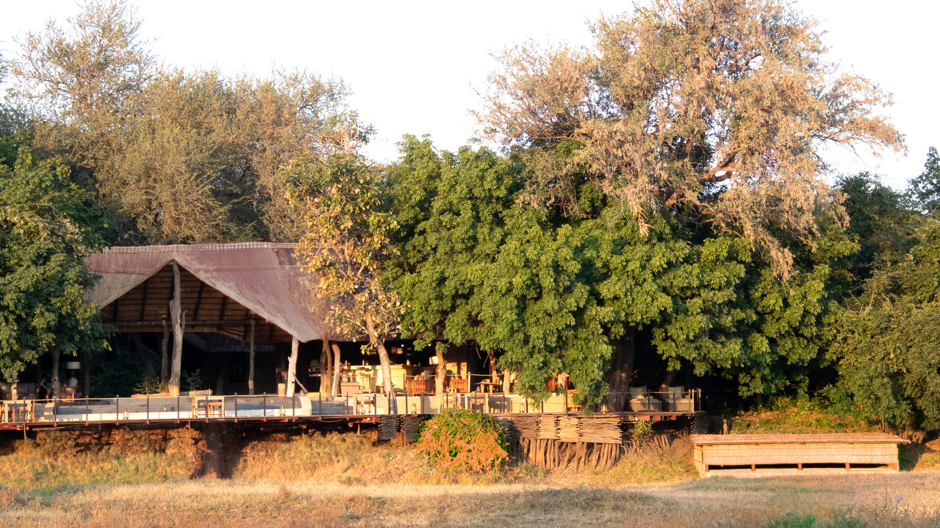Lion Camp