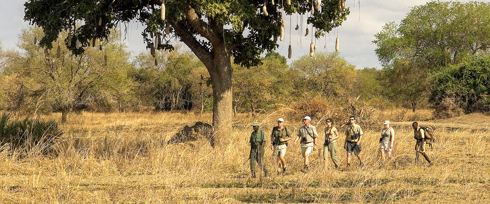 let us know your thoughts about Zambia and we will make sure to deliver the perfect safari