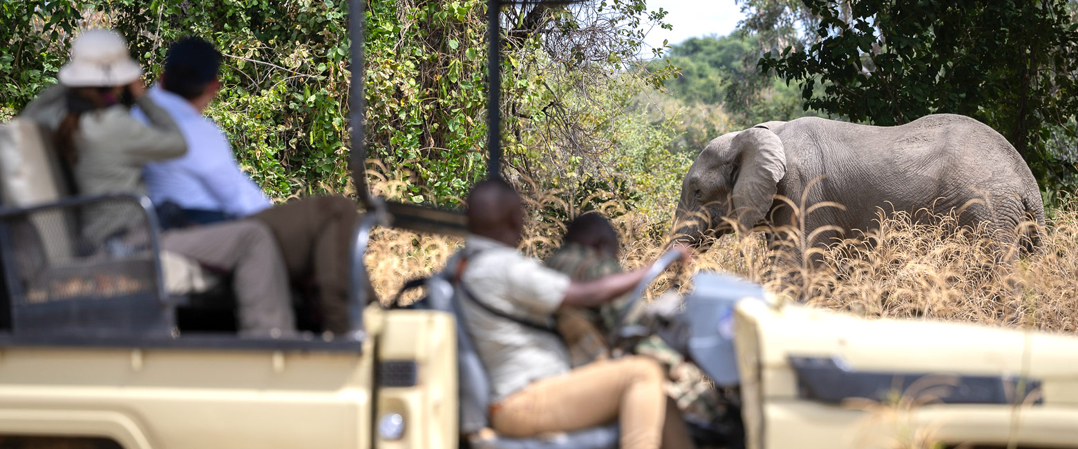 is a wonderfully simple place in the South Luangwa area