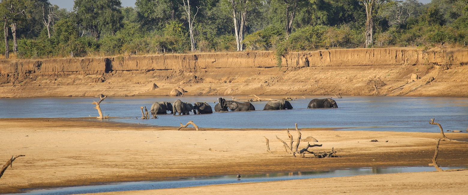 is a stylish and polished little place in the South Luangwa area 