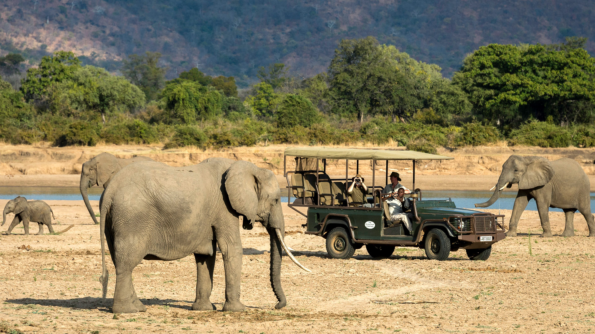 Safari to South Luangwa South