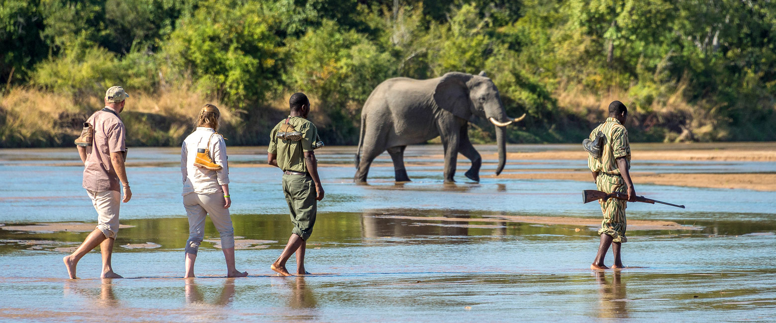 let us know your thoughts about Zambia and we will help you create the perfect safari