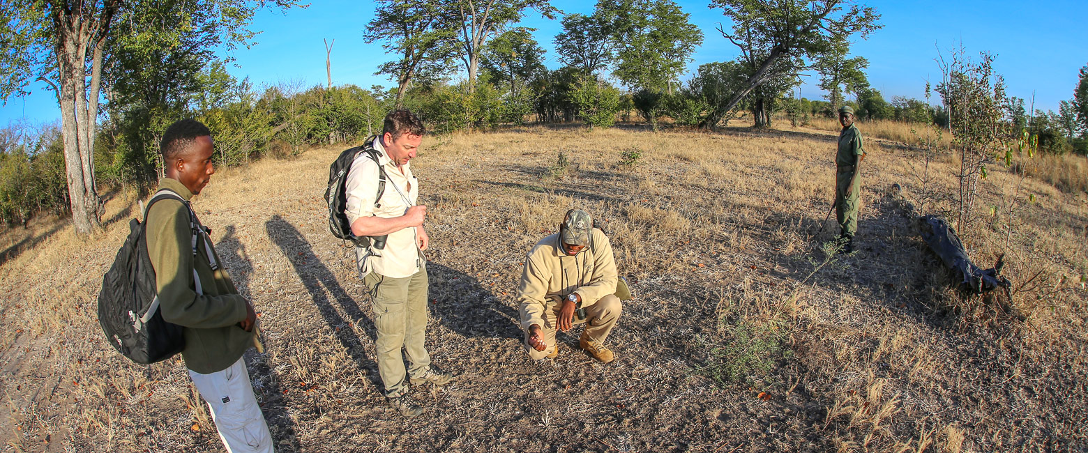 let us know your thoughts about Zambia and we will help you create the perfect safari