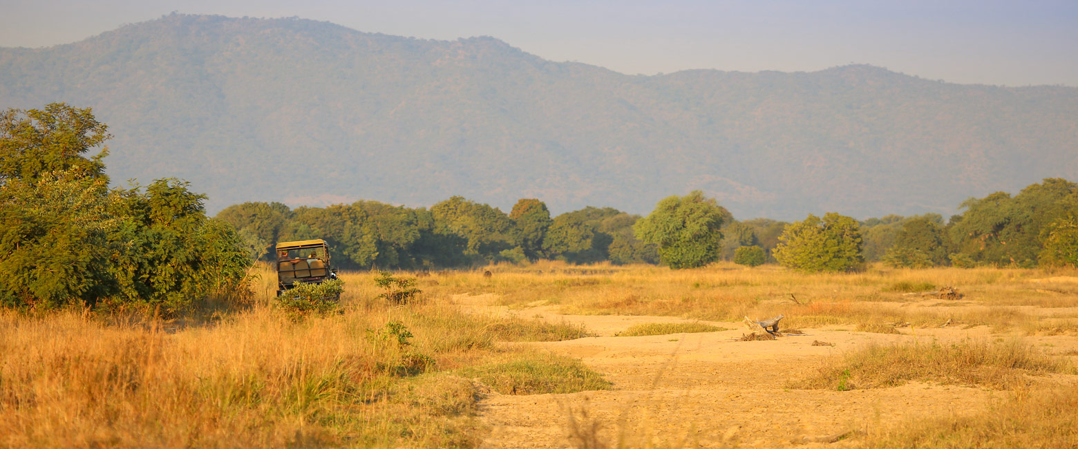 let us know your thoughts about Zambia and we will help you create the perfect safari