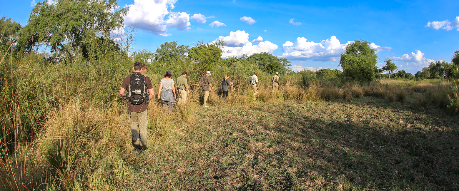 let us know your thoughts about Zambia and we will help you create the perfect safari 