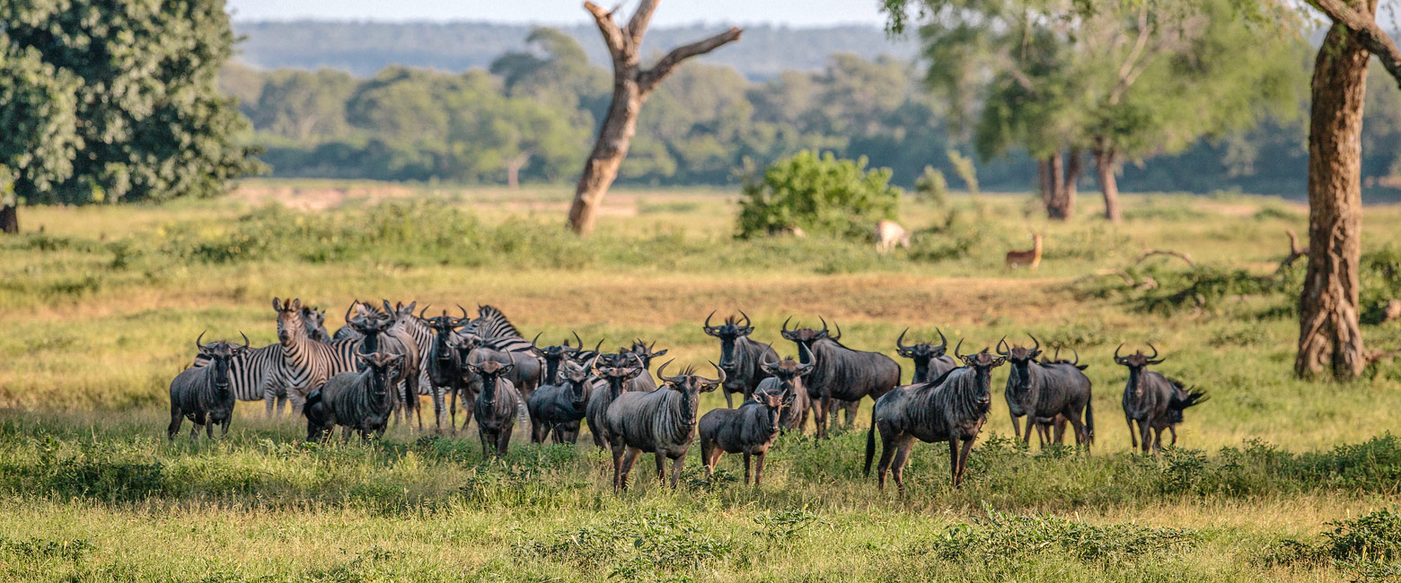 is a remote reserve adjoining north Kruger 