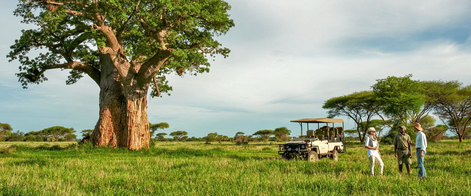 let us know your thoughts about Zimbabwe and we will help you create the perfect safari