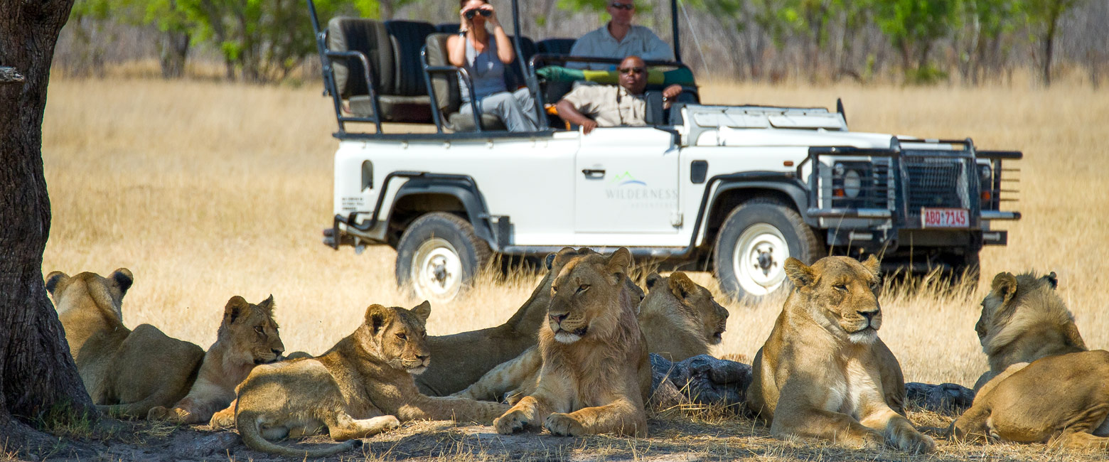 let us know your thoughts about Zimbabwe and we will help you create the perfect safari