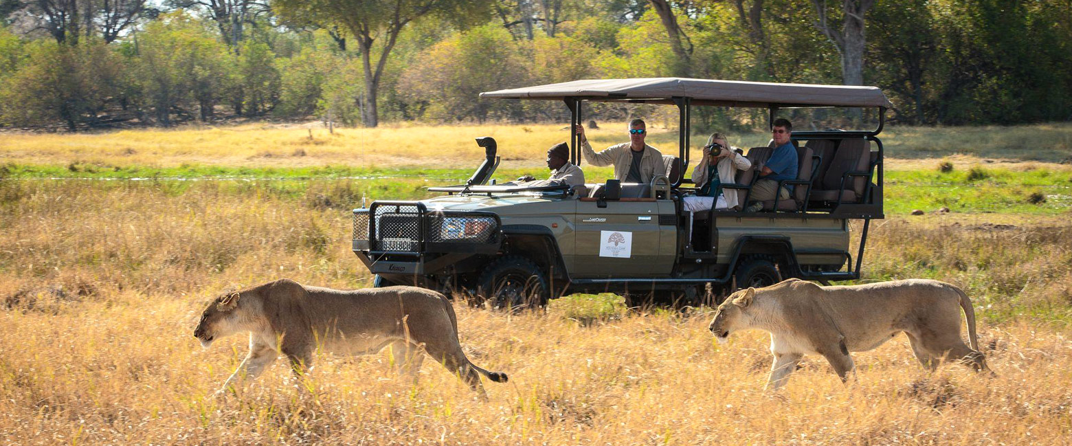 let us know your thoughts about Zimbabwe and we will help you create the perfect safari