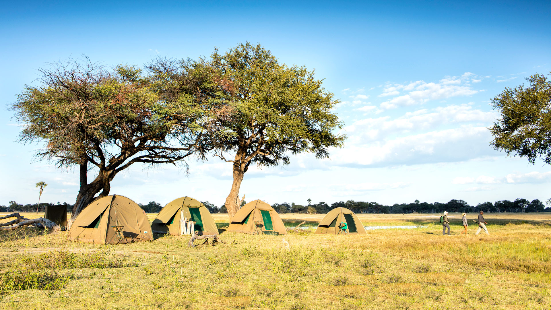 Hwange Trails