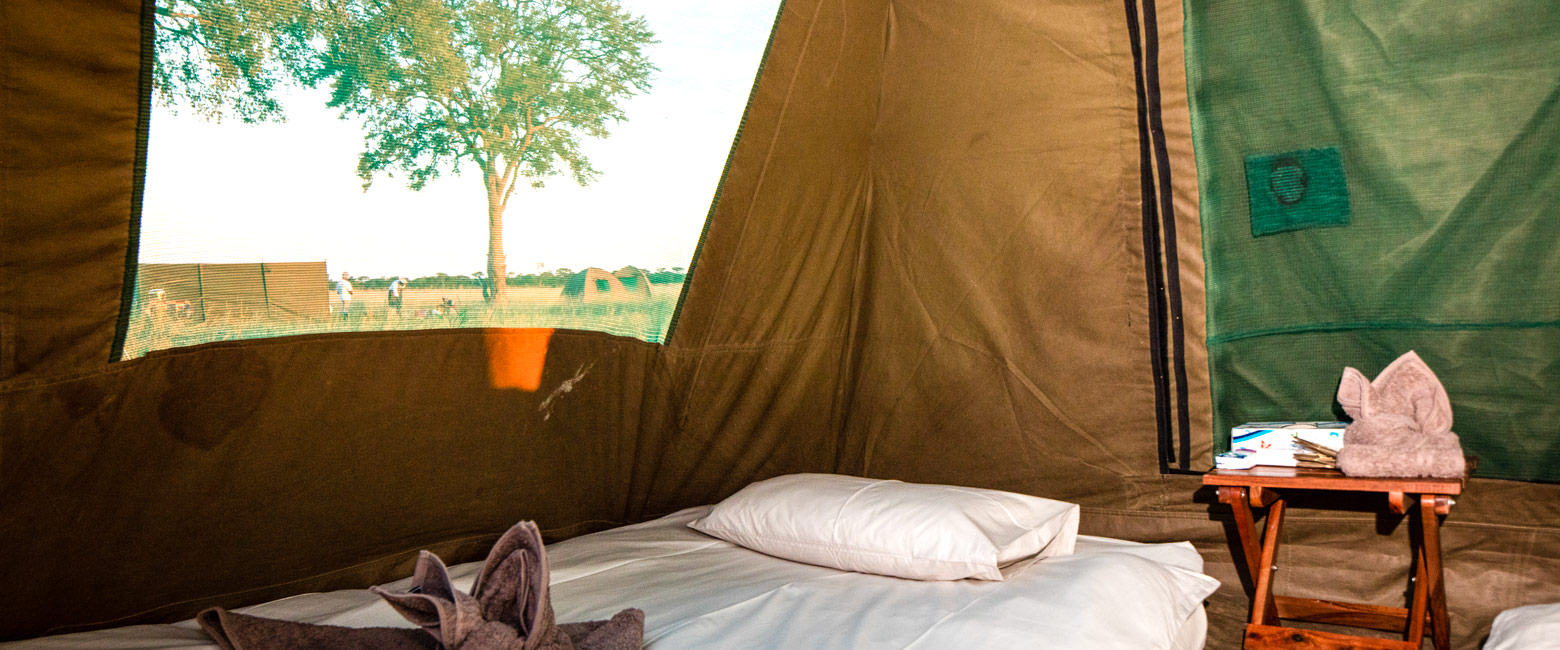 is an adventurous walking safari in a private part of Hwange