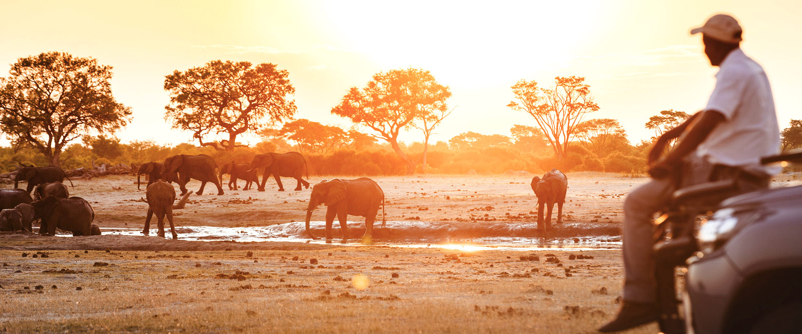 let us know your thoughts about Zimbabwe and we will help you create the perfect safari