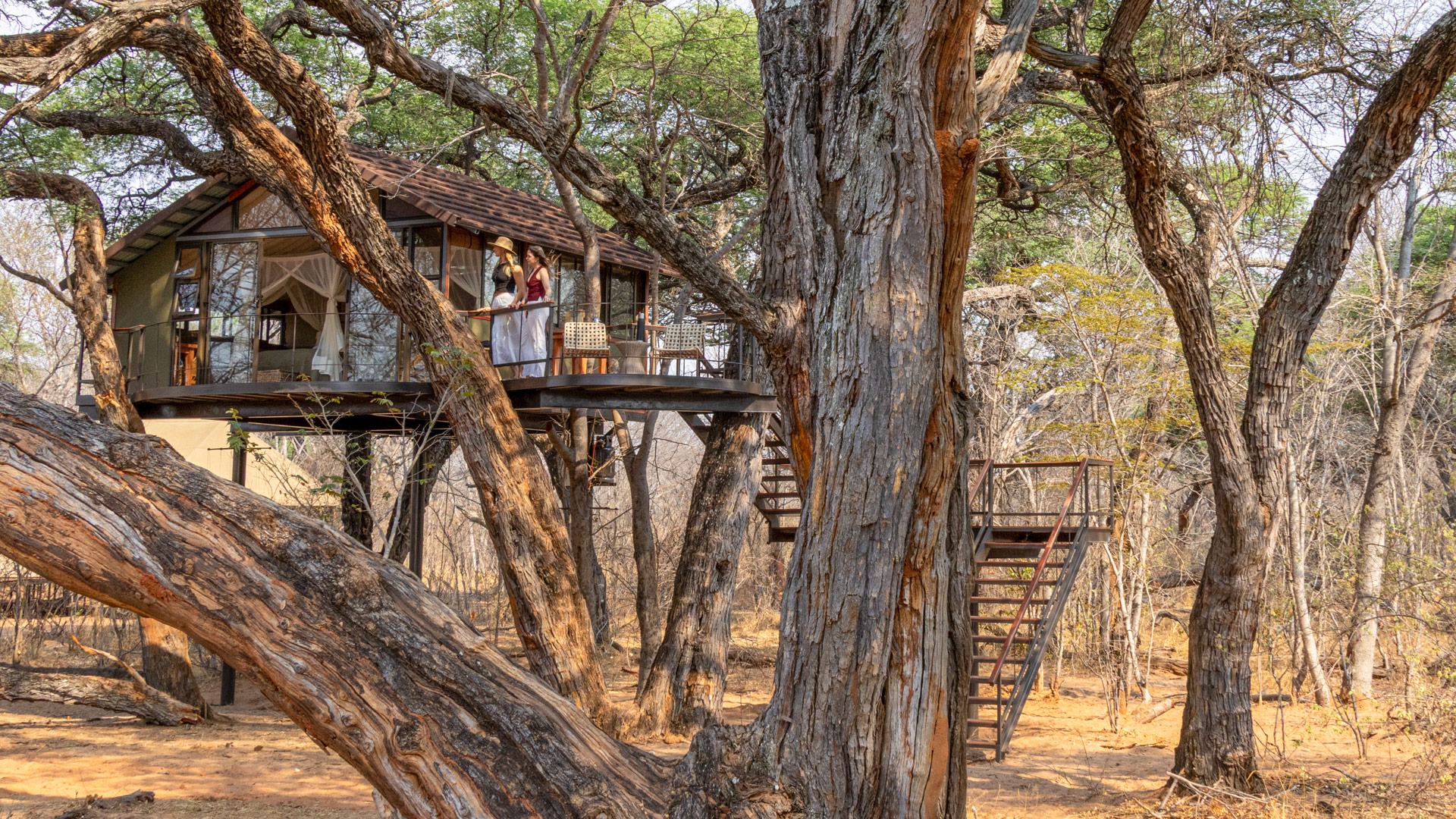 Tum Tum Treehouse Lodge