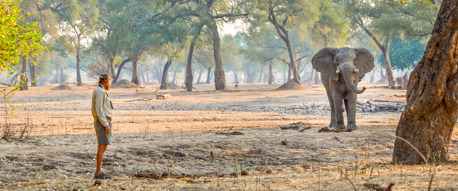 is a superb safari reserve on the south bank of the Zambezi