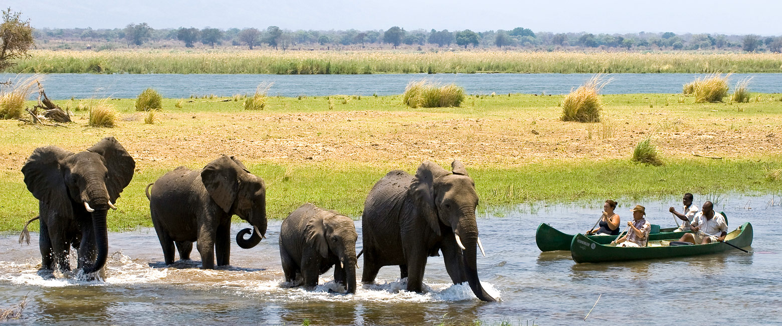 let us know your thoughts about Zimbabwe and we will help you create the perfect trip