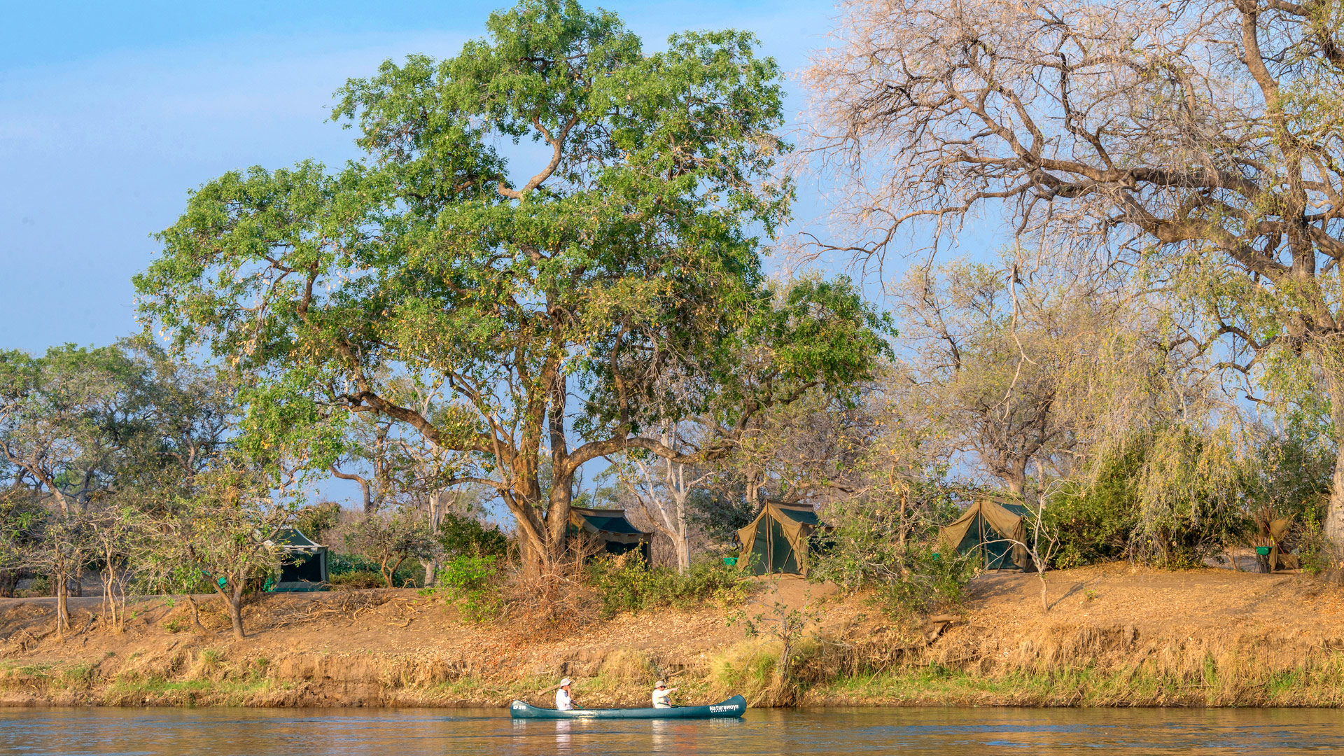 Camp Zambezi