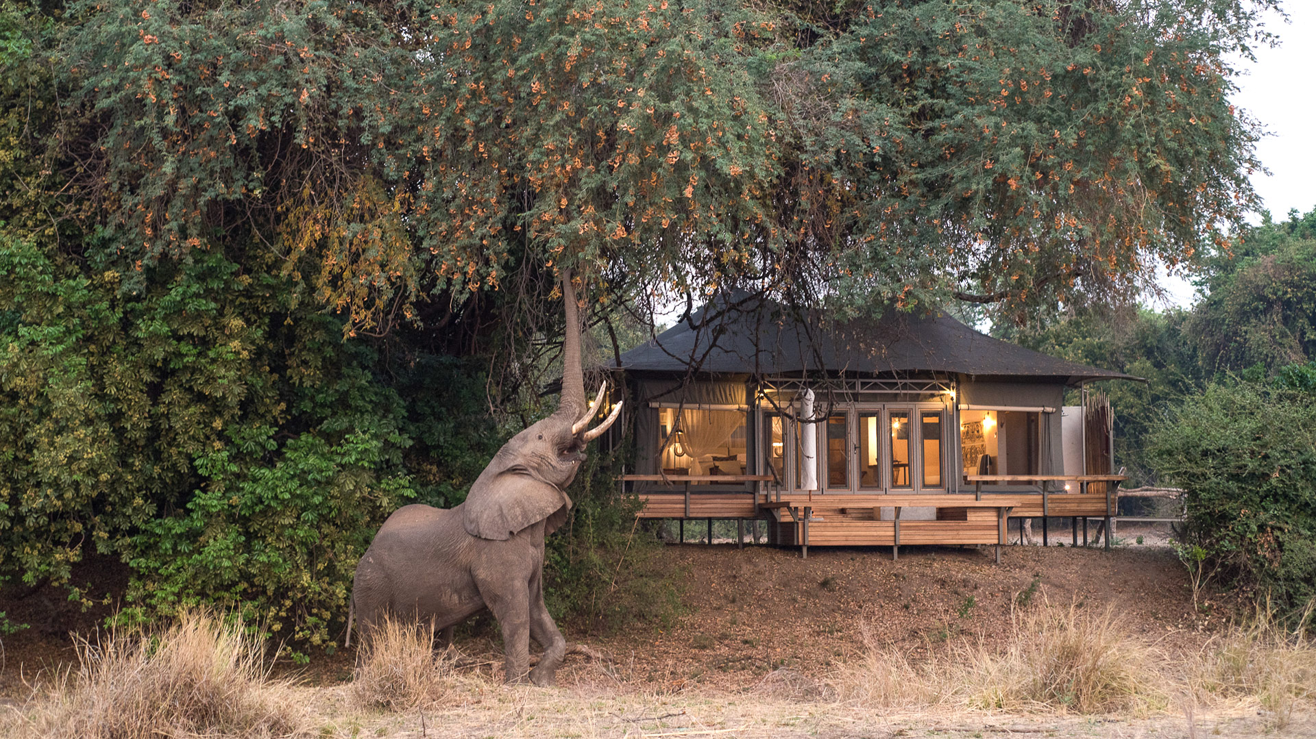 Chikwenya Camp