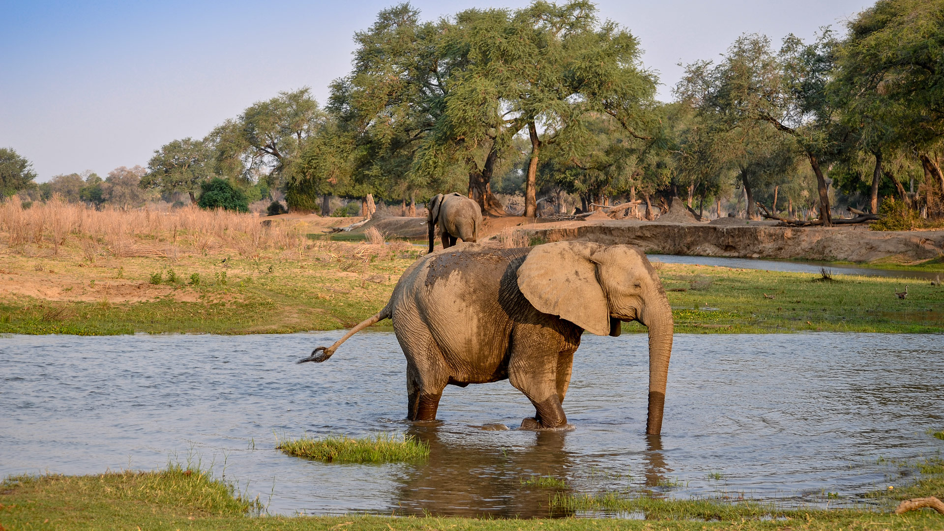 Chitake Tented Camp