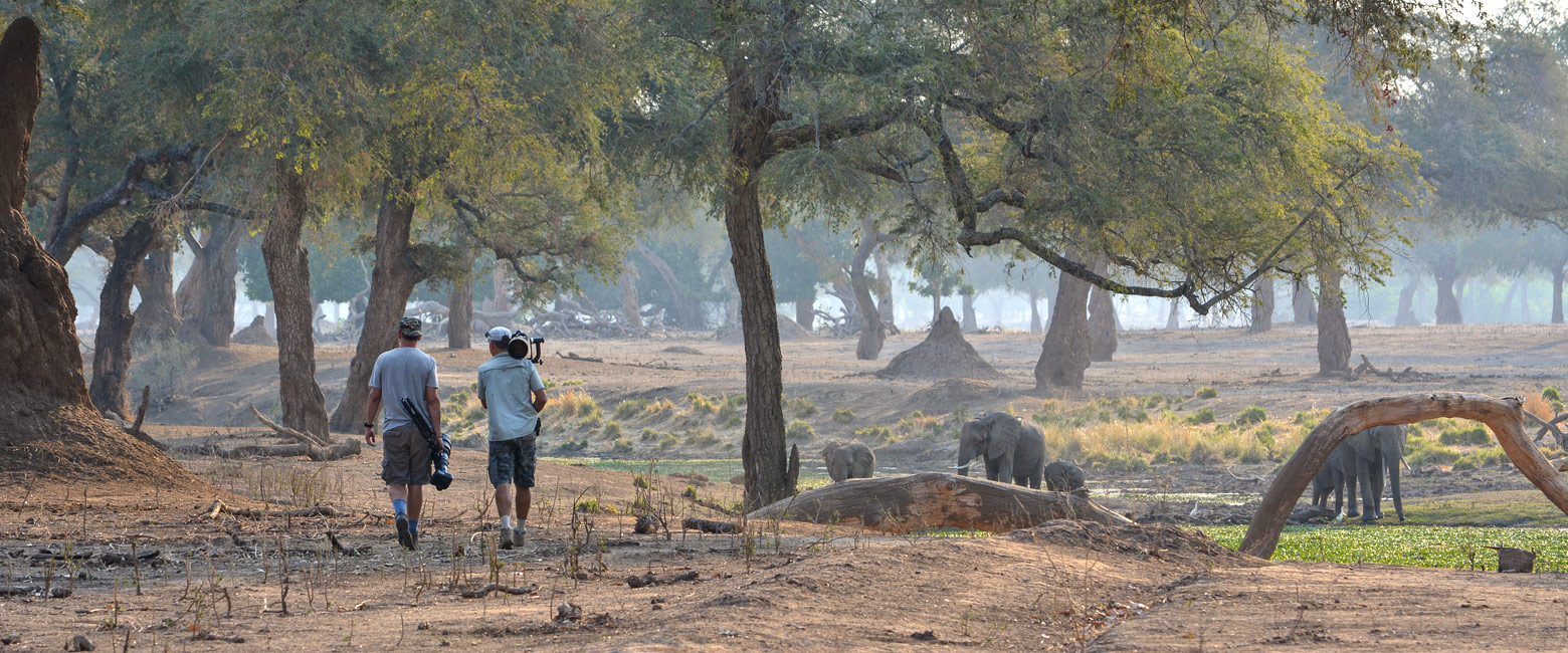 let us know your thoughts about Zimbabwe and we will help you create the perfect safari 