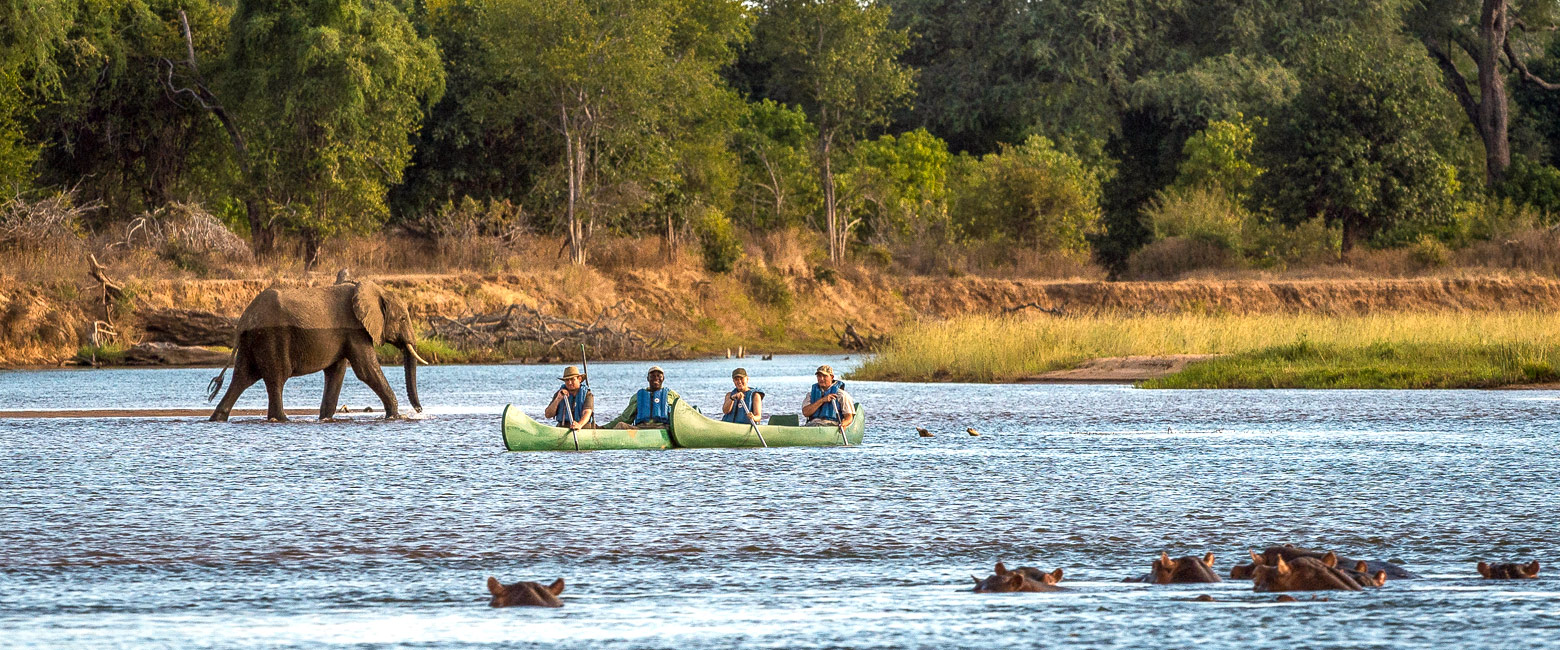 let us know your thoughts about Zimbabwe and we will help you create the perfect safari