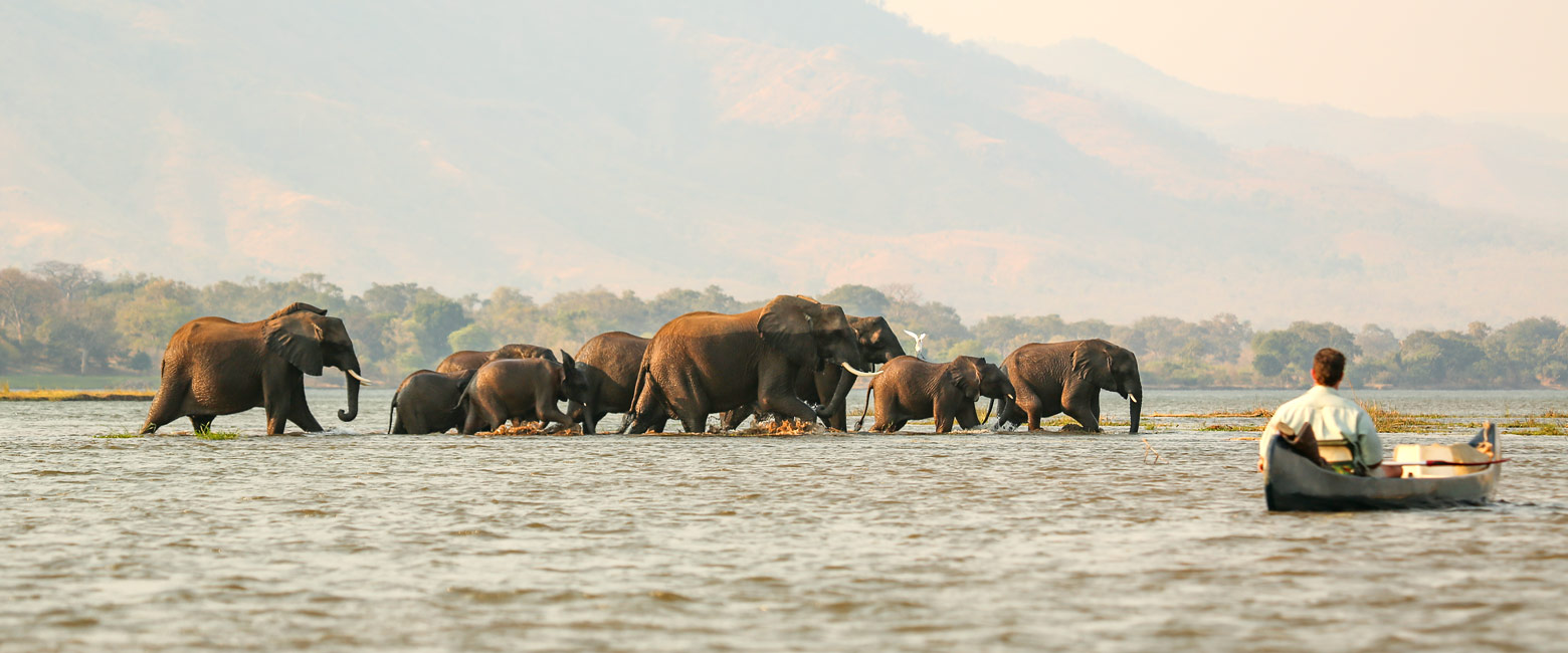 let us know your thoughts about Zimbabwe and we will help you create the perfect safari