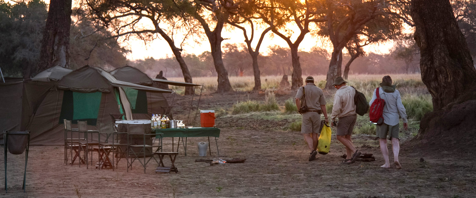 let us know your thoughts about Zimbabwe and we will help you create the perfect safari