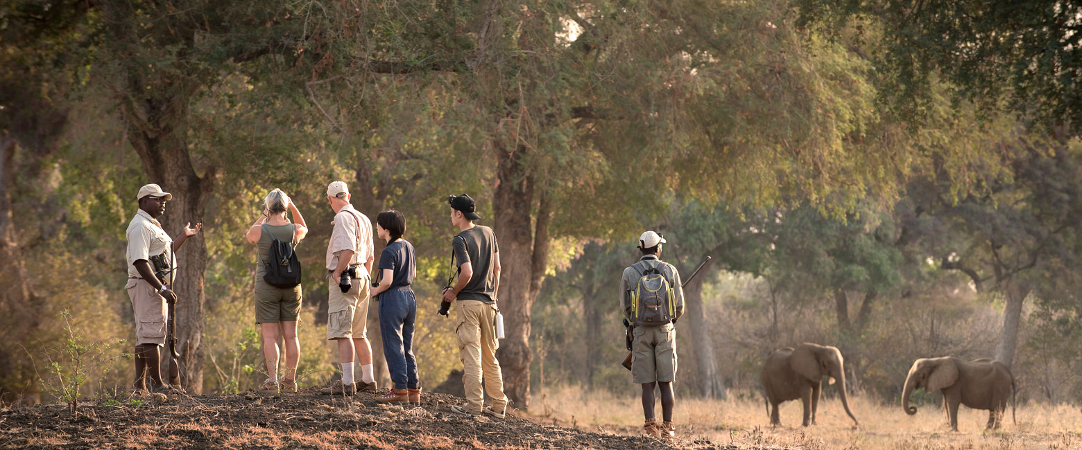 let us know your thoughts about Zimbabwe and we will help you create the perfect safari