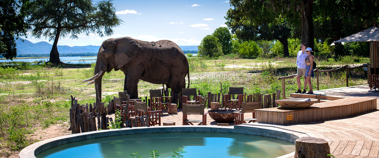 let us know your thoughts about Zimbabwe and we will help you create the perfect safari