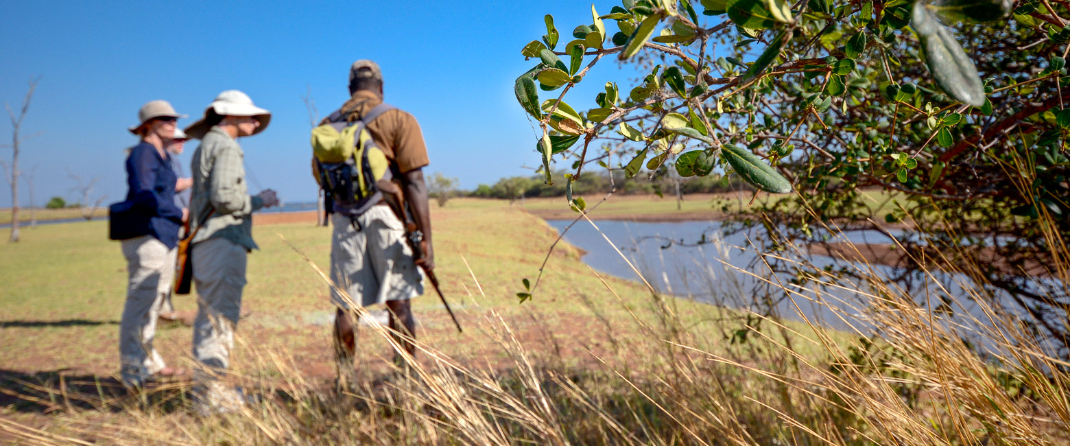 let us know your thoughts about Zimbabwe and we will help you create the perfect safari 