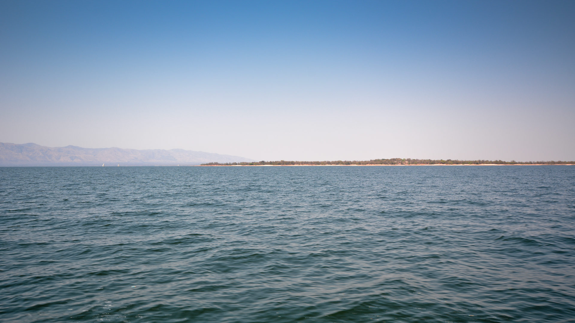 Spurwing Island
