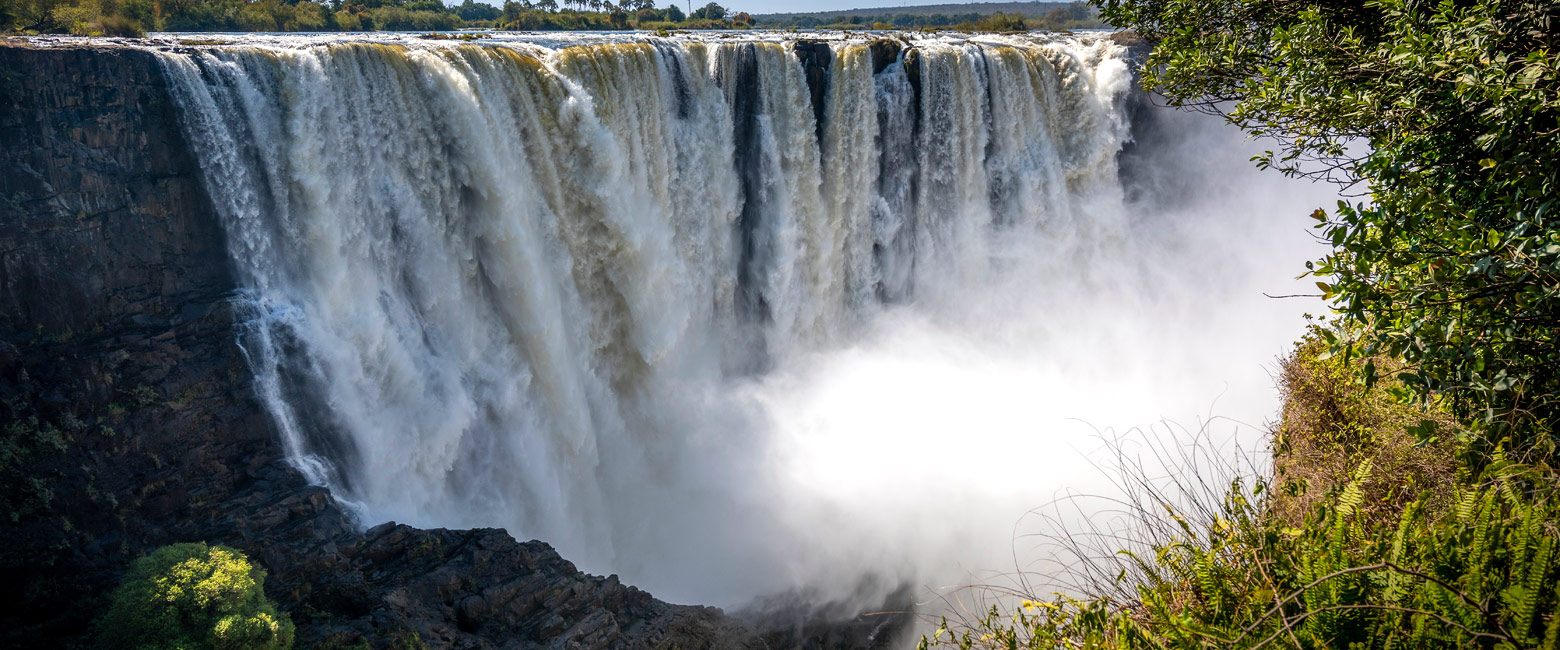 let us know your thoughts about Zimbabwe and we will help you create the perfect safari