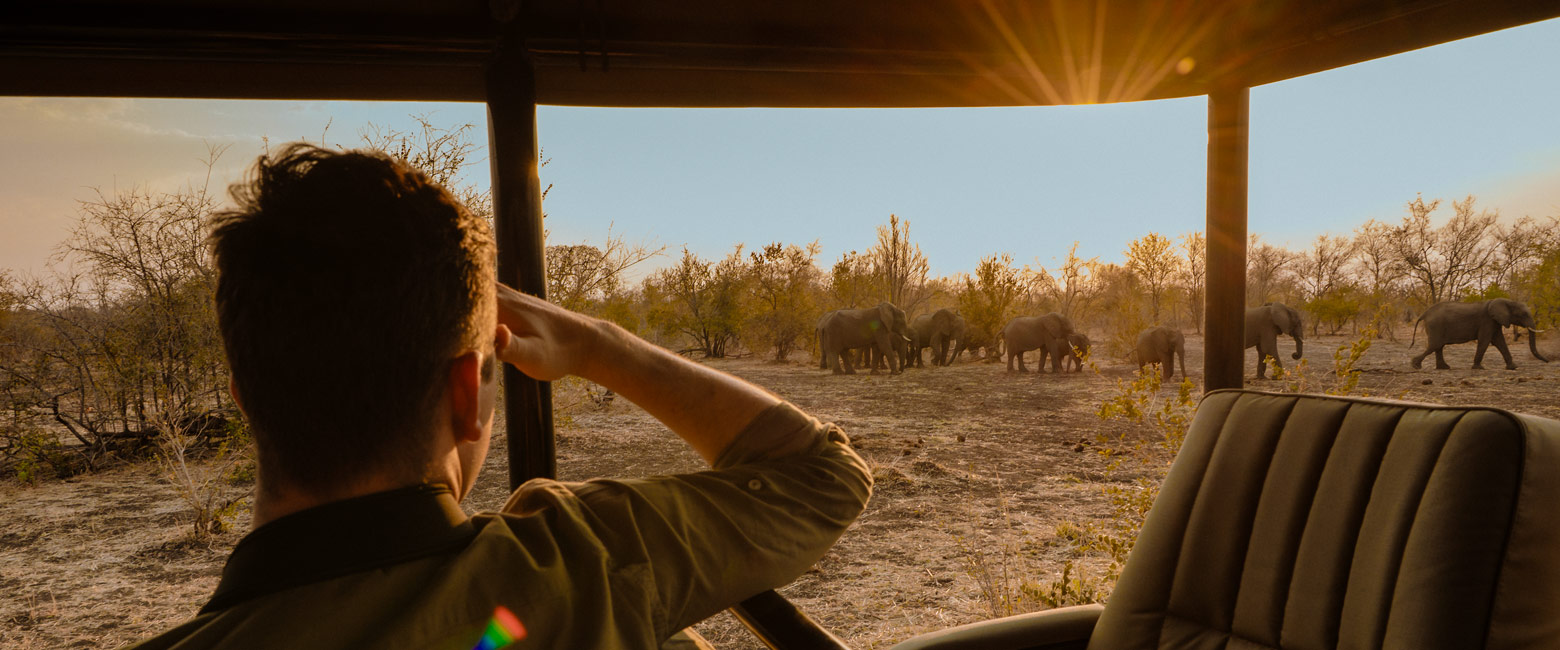 let us know your thoughts about Zimbabwe and we will help you create the perfect safari 