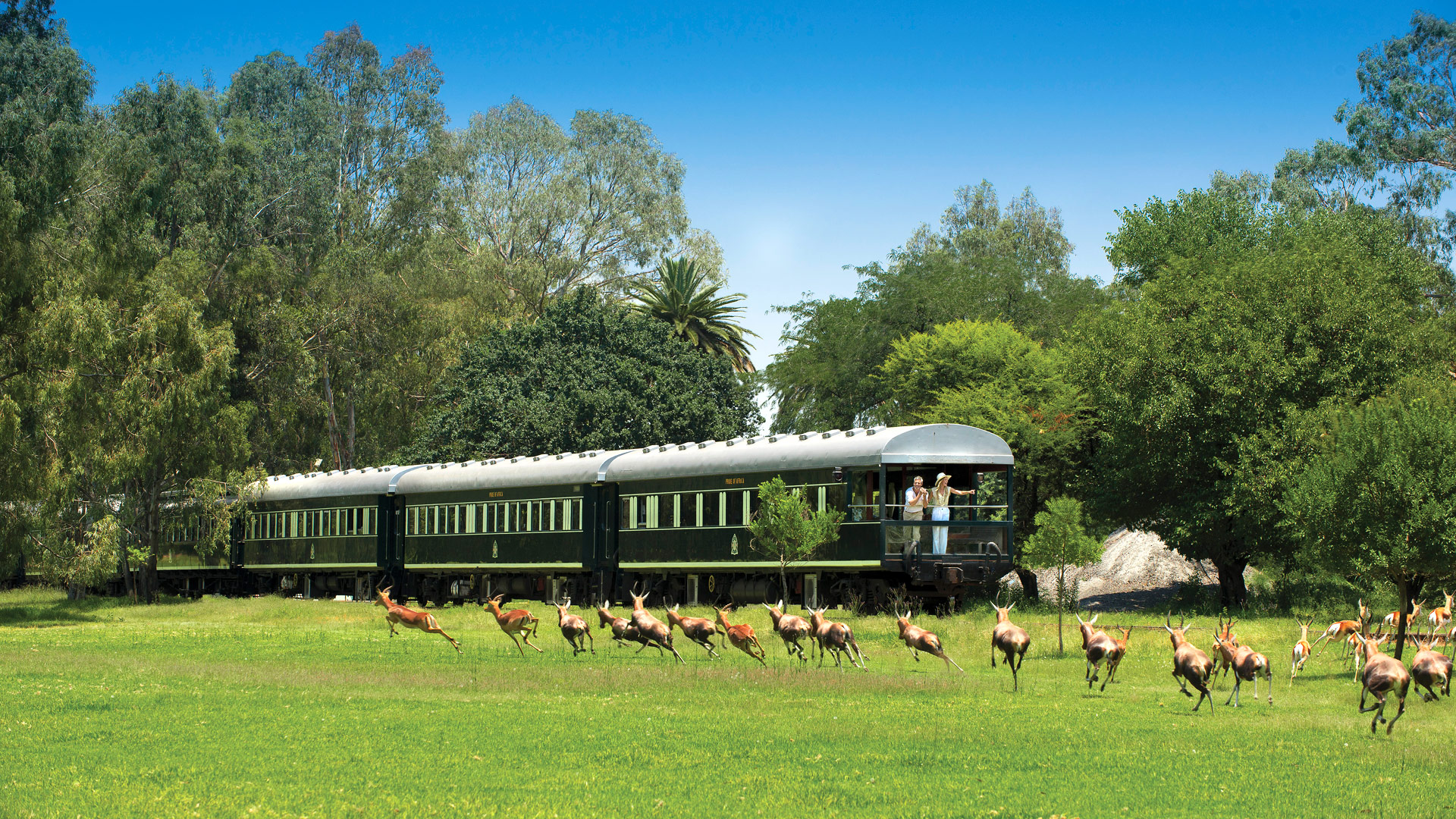 Rovos Vic Falls to Pretoria 4N