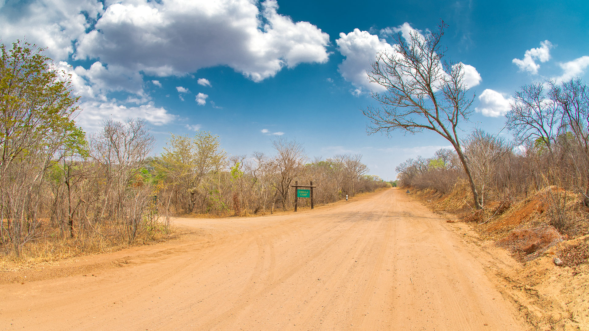 Ursula’s Homestead