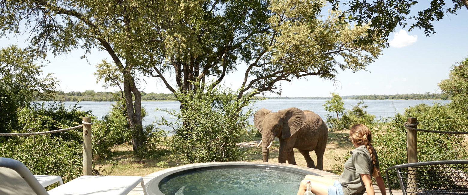 let us know your thoughts about Zimbabwe and we will help you create the perfect safari 