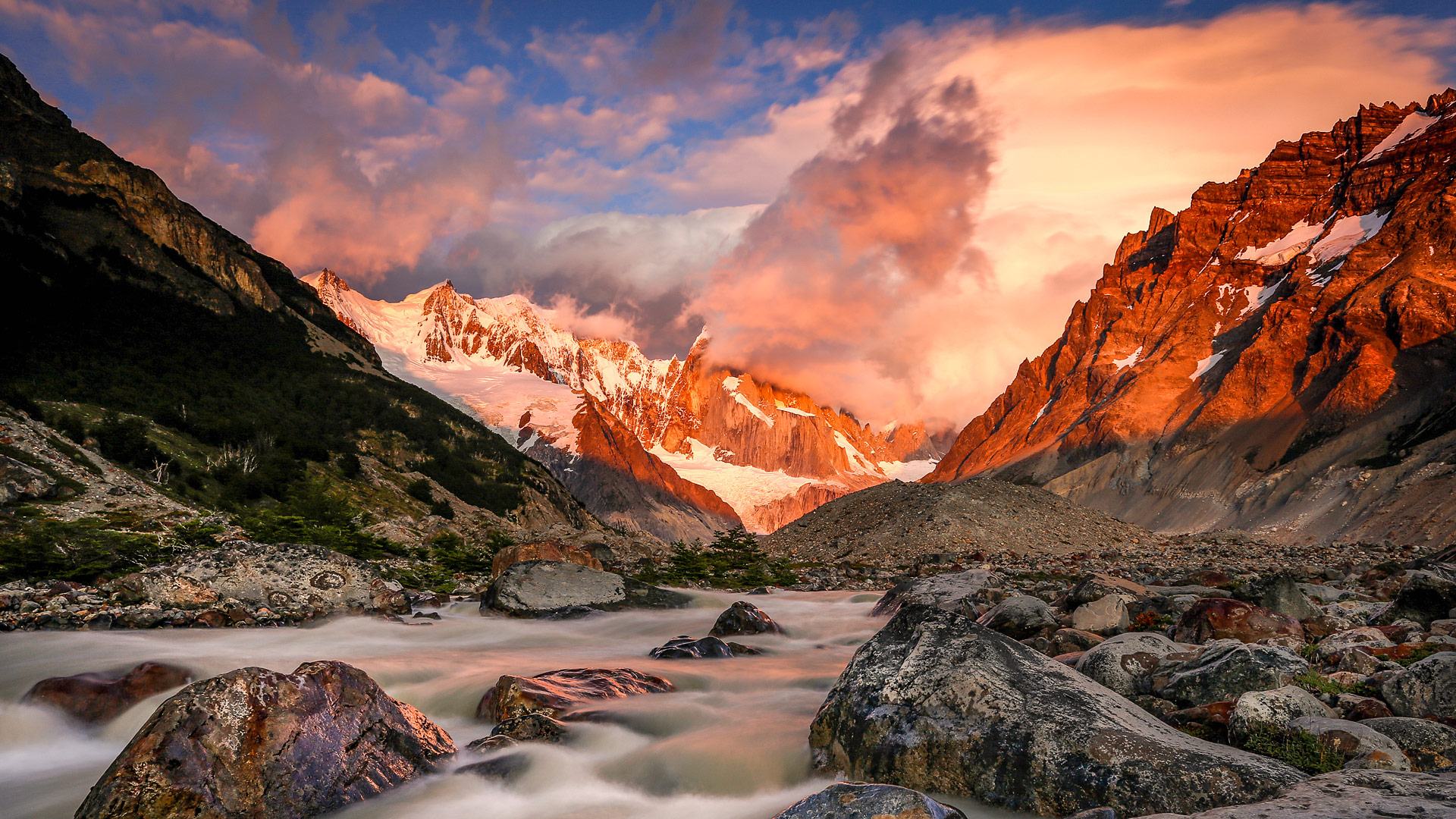 Safari to Argentina