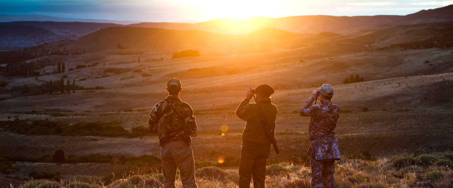 let us know your thoughts about Argentina and we will help you create the perfect safari