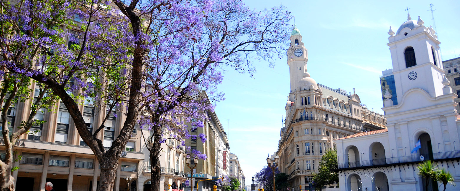 let us know your thoughts about Argentina and we will help you create the perfect safari