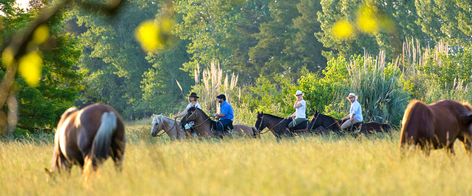 let us know your thoughts about Argentina and we will help you create the perfect safari