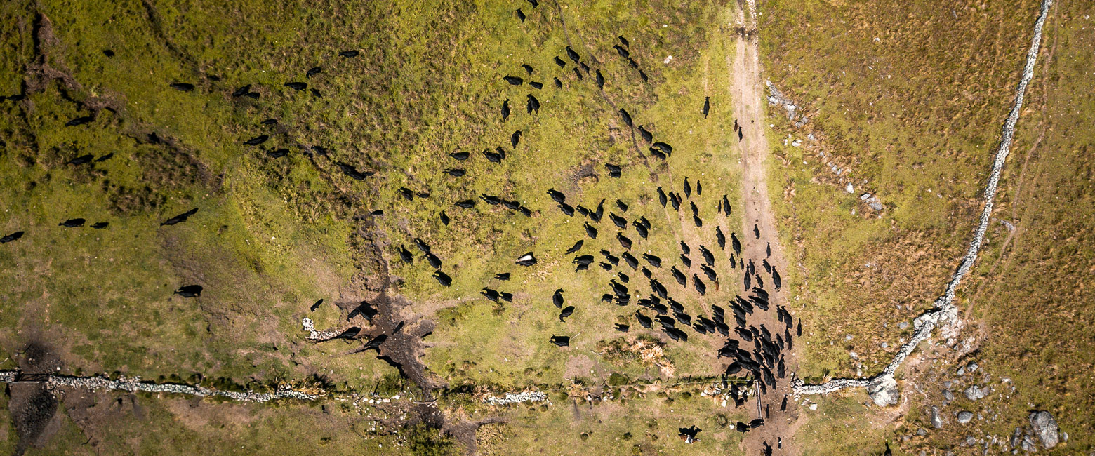 is the rural heart of Argentina, renowned for horse-riding 