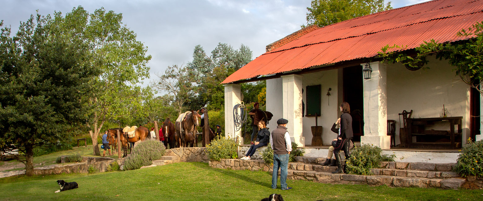 let us know your thoughts about Argentina and we will help you create the perfect safari 