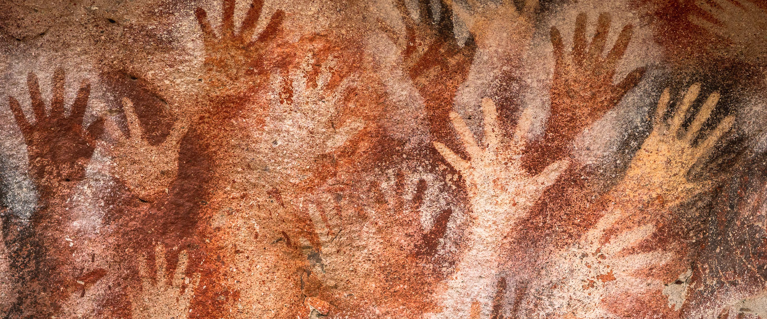 let us know your thoughts about Argentina and we will help you create the perfect safari