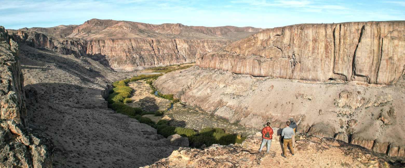 let us know your thoughts about Argentina and we will help you create the perfect safari 